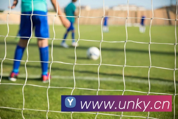 澳亚国际首页服务体系